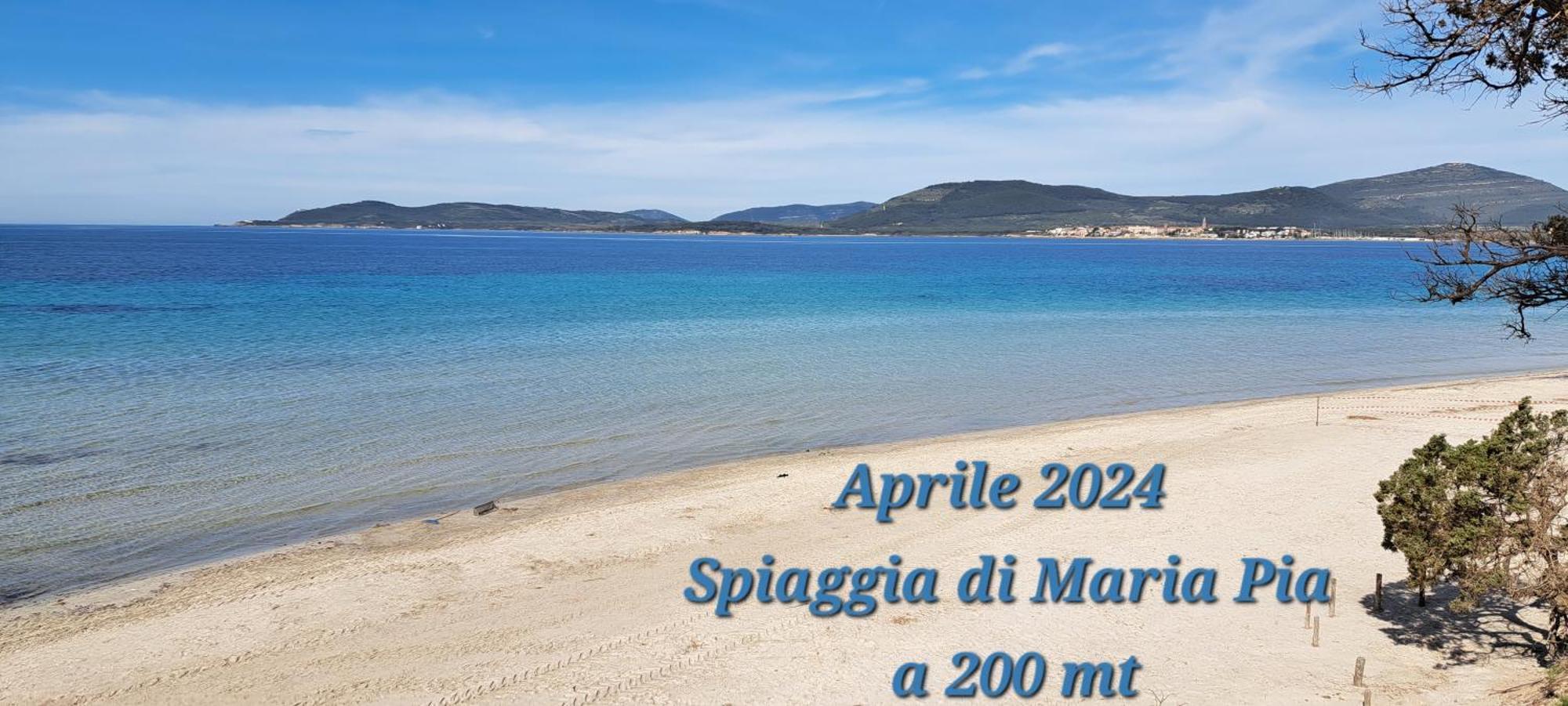 Fronte Mare Con Giardino E Barbeque Apartment *