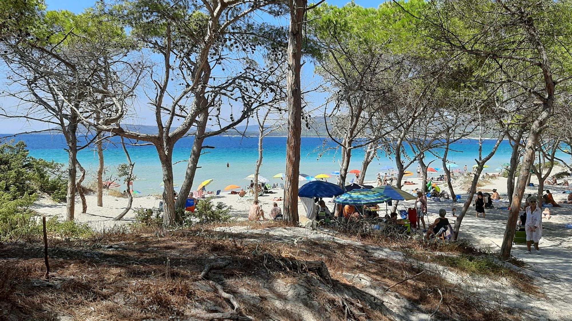Fronte Mare Con Giardino E Barbeque *